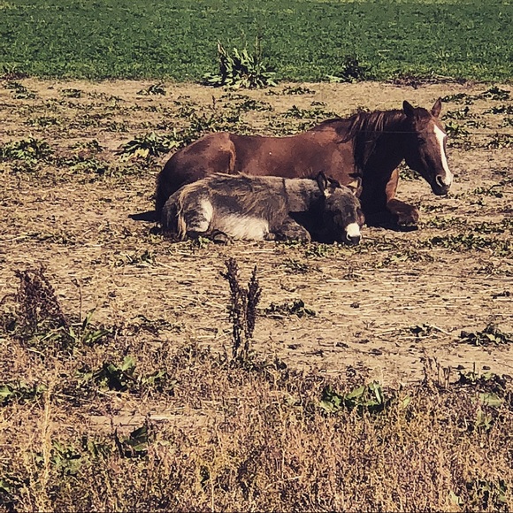 Meet your Posh Ambassador Posher, Gretta - Picture 10 of 15